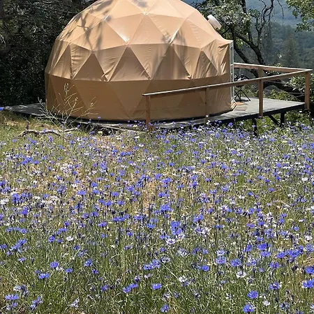 Glamping Dome 1 - 10 Minutes From Kings Canyon Dunlap Esterno foto