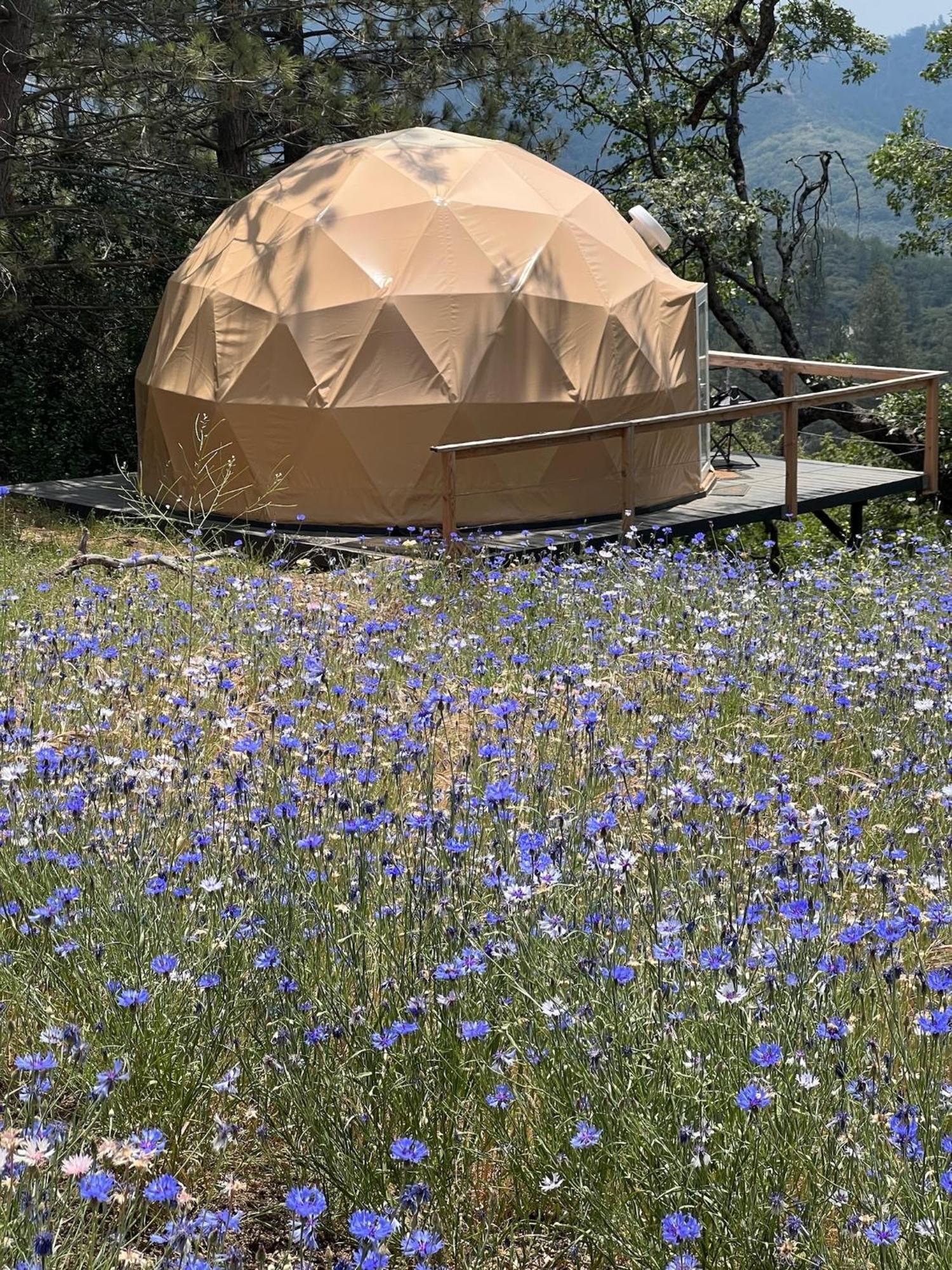 Glamping Dome 1 - 10 Minutes From Kings Canyon Luxury tent *